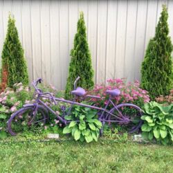 Purple Tandem Purple Tandem