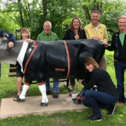 New Glarus Brewery cow Meeting the New Glarus cow