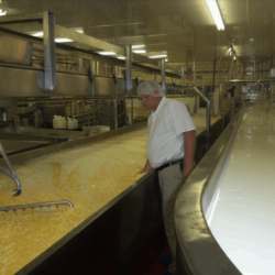 Cheese factory Cheese factory